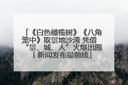 《白色橄榄树》《八角笼中》取景地沙湾 凭借“景、城、人”火爆出圈丨新闻发布最前线
