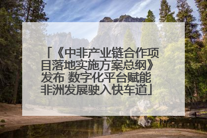 《中非产业链合作项目落地实施方案总纲》发布 数字化平台赋能非洲发展驶入快车道