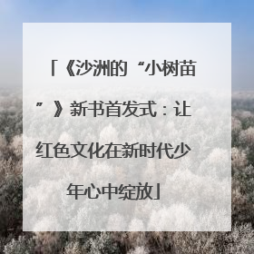 《沙洲的“小树苗”》新书首发式：让红色文化在新时代少年心中绽放