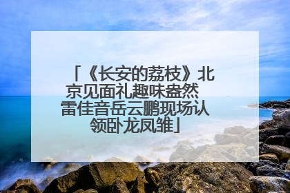 《长安的荔枝》北京见面礼趣味盎然 雷佳音岳云鹏现场认领卧龙凤雏