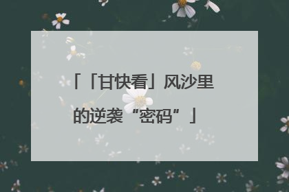「甘快看」风沙里的逆袭“密码”