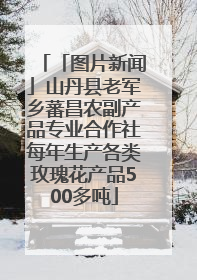 「图片新闻」山丹县老军乡蕃昌农副产品专业合作社每年生产各类玫瑰花产品500多吨