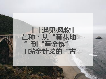 「遇见·风物」芒种：从“黄花地”到“黄金链” 丁嘴金针菜的“古法”经