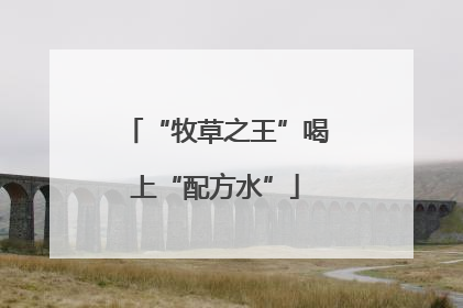 “牧草之王”喝上“配方水”