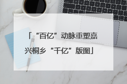 “百亿”动脉重塑嘉兴桐乡“千亿”版图