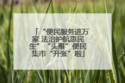 “便民服务进万家 法治护航惠民生”“头雁”便民集市“开张”啦