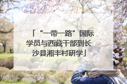 “一带一路”国际学员与西藏干部到长沙县湘丰村研学