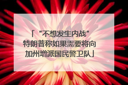 “不想发生内战” 特朗普称如果需要将向加州增派国民警卫队