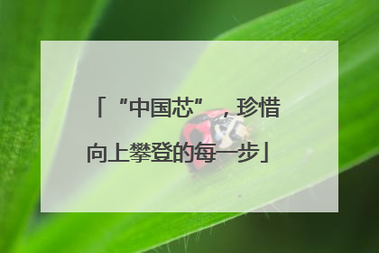 “中国芯”，珍惜向上攀登的每一步