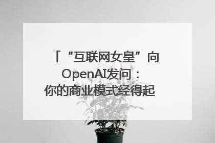 “互联网女皇”向OpenAI发问：你的商业模式经得起价格战考验么？