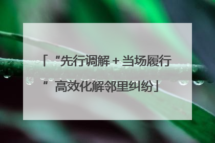 “先行调解＋当场履行”高效化解邻里纠纷