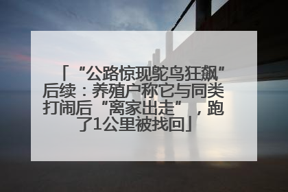 “公路惊现鸵鸟狂飙”后续：养殖户称它与同类打闹后“离家出走”，跑了1公里被找回