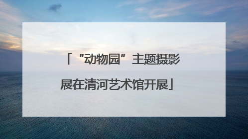 “动物园”主题摄影展在清河艺术馆开展