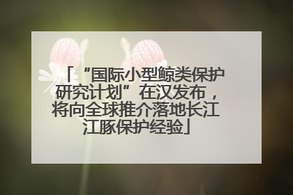 “国际小型鲸类保护研究计划”在汉发布，将向全球推介落地长江江豚保护经验