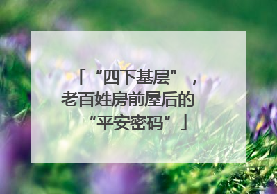 “四下基层”，老百姓房前屋后的“平安密码”