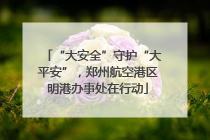 “大安全”守护“大平安”，郑州航空港区明港办事处在行动