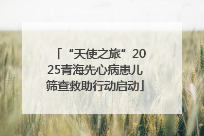 “天使之旅”2025青海先心病患儿筛查救助行动启动