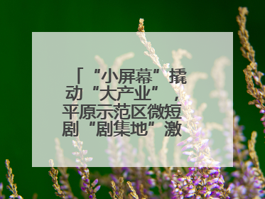“小屏幕”撬动“大产业”，平原示范区微短剧“剧集地”激活文化新经济