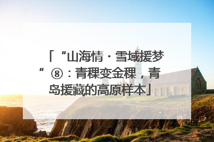 “山海情・雪域援梦”⑧：青稞变金稞，青岛援藏的高原样本