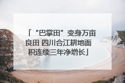 “巴掌田”变身万亩良田 四川合江耕地面积连续三年净增长