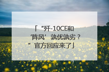 “歼-10CE和‘阵风’孰优孰劣？”官方回应来了
