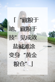 “藏粮于地、藏粮于技”见成效 盐碱滩涂变身“黄金粮仓”