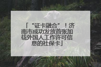 “证卡融合”！济南市成功发放首张加载外国人工作许可信息的社保卡