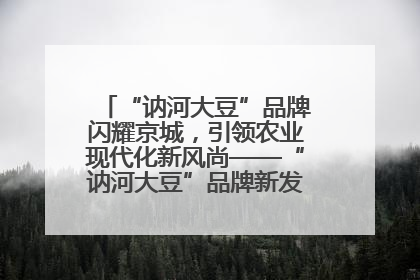 “讷河大豆”品牌闪耀京城，引领农业现代化新风尚——“讷河大豆”品牌新发地推介会圆满落幕