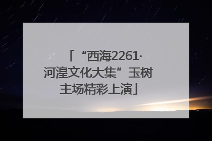 “西海2261·河湟文化大集”玉树主场精彩上演