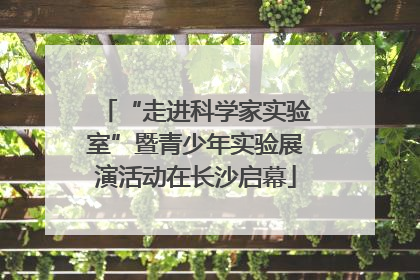 “走进科学家实验室”暨青少年实验展演活动在长沙启幕