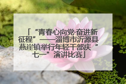 “青春心向党·奋进新征程”——淄博市沂源县燕崖镇举行年轻干部庆“七一”演讲比赛
