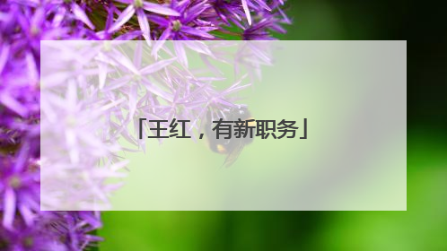 王红，有新职务