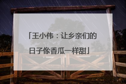 王小伟：让乡亲们的日子像香瓜一样甜