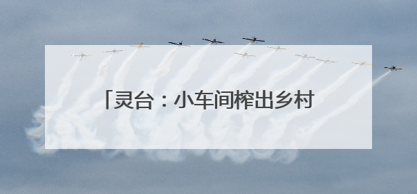 灵台：小车间榨出乡村全面振兴“幸福油”