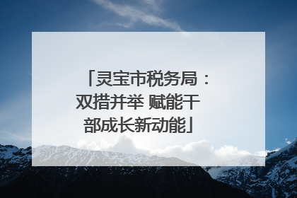 灵宝市税务局：双措并举 赋能干部成长新动能