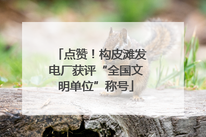 点赞！构皮滩发电厂获评“全国文明单位”称号