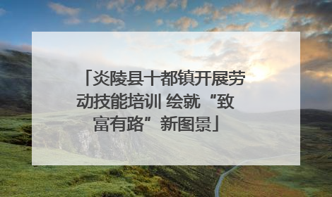 炎陵县十都镇开展劳动技能培训 绘就“致富有路”新图景