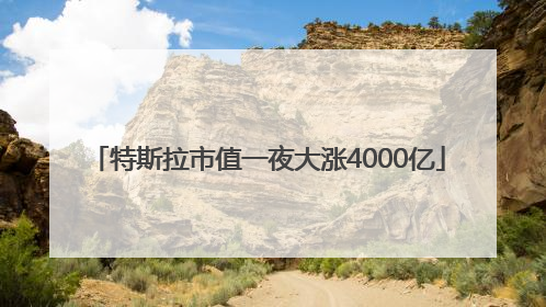 特斯拉市值一夜大涨4000亿