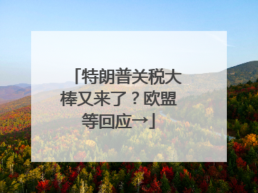 特朗普关税大棒又来了？欧盟等回应→