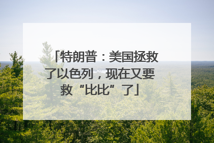 特朗普：美国拯救了以色列，现在又要救“比比”了
