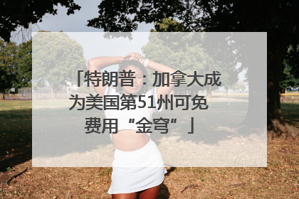 特朗普：加拿大成为美国第51州可免费用“金穹”