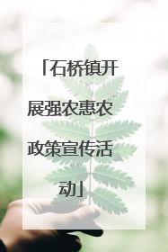 石桥镇开展强农惠农政策宣传活动