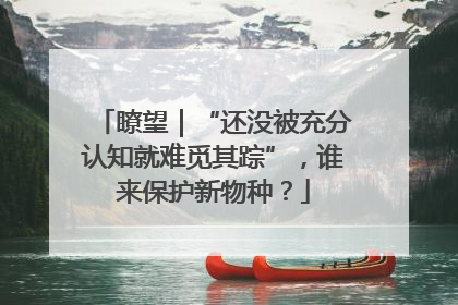瞭望｜“还没被充分认知就难觅其踪”，谁来保护新物种？