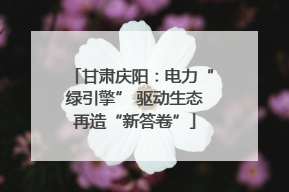 甘肃庆阳：电力“绿引擎” 驱动生态再造“新答卷”