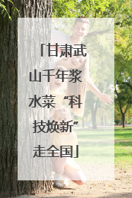 甘肃武山千年浆水菜“科技焕新”走全国