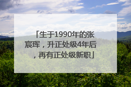 生于1990年的张宸珲，升正处级4年后，再有正处级新职