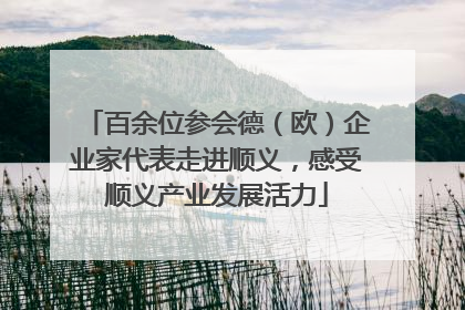 百余位参会德（欧）企业家代表走进顺义，感受顺义产业发展活力