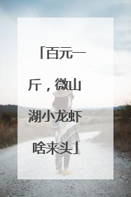 百元一斤，微山湖小龙虾啥来头