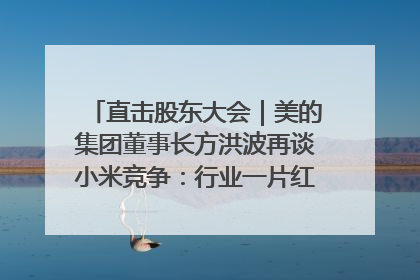 直击股东大会｜美的集团董事长方洪波再谈小米竞争：行业一片红海，打法已固定，无论谁胜都是消耗战