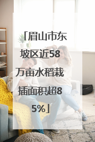 眉山市东坡区近58万亩水稻栽插面积超85%